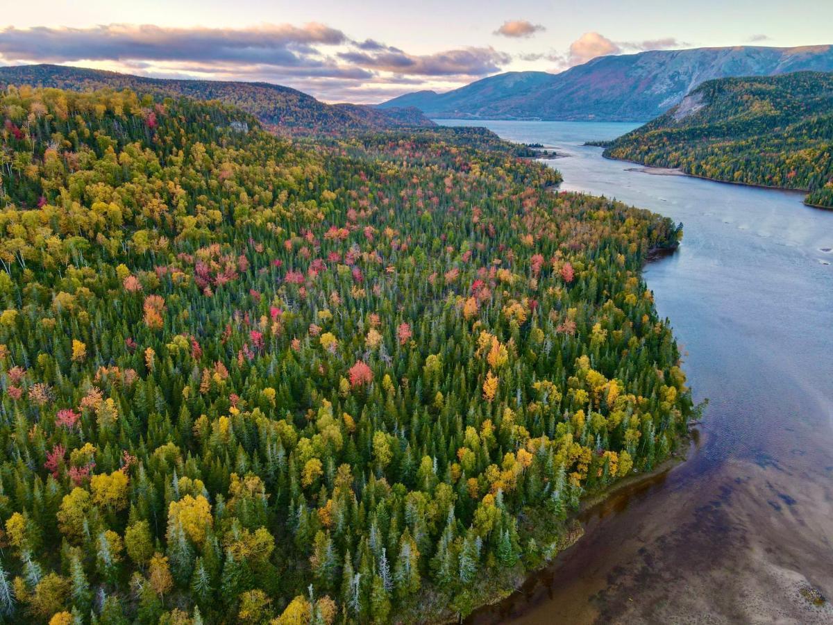 Bonne Bay Cottages Bonne Bay Pond Dış mekan fotoğraf